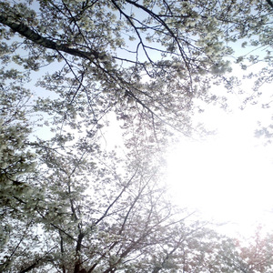 欧美激情图片成人小说
