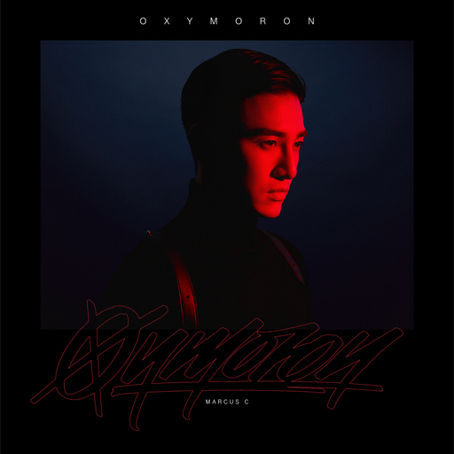 欧美激情图片成人小说
